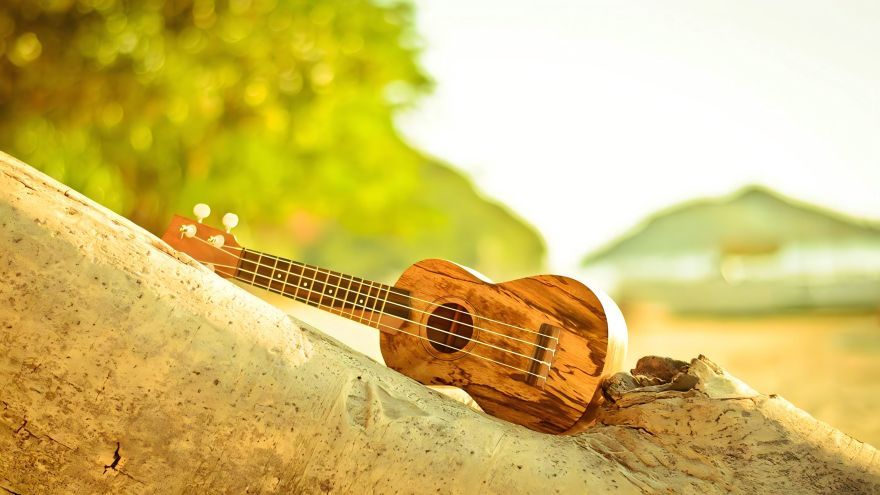 Strumming into Melodic Bliss: Unveiling the Enchanting World of Ukulele Learning！