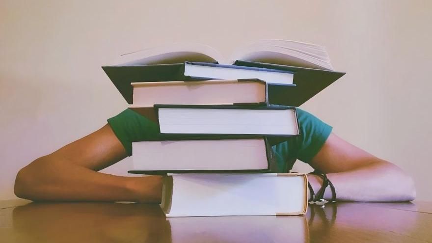 The Essence of Humanity: An Exploration of the Humanities