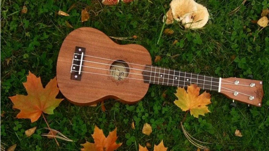 Introductory violin course with no foundation!