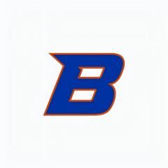 Boise State University Online