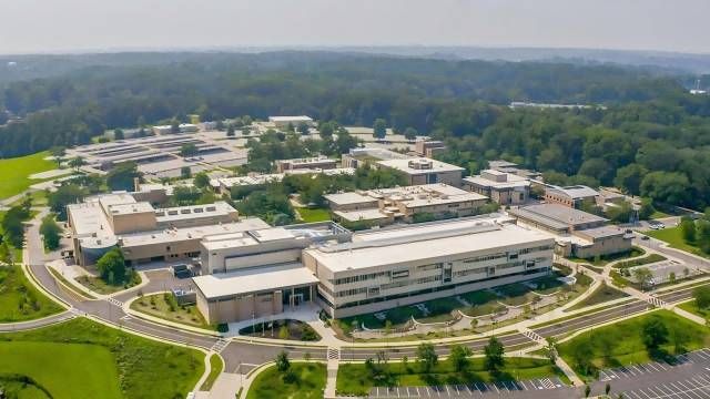 Anne Arundel Community College Online Learning
