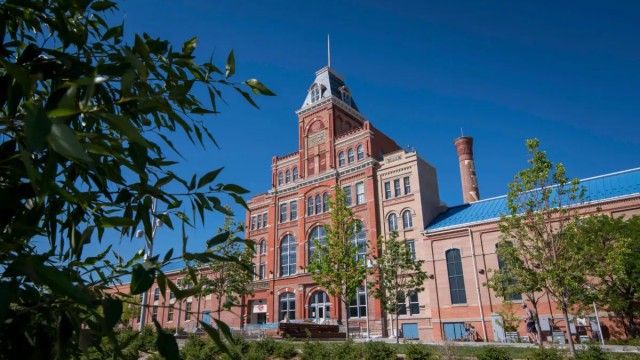 MSU Denver Online