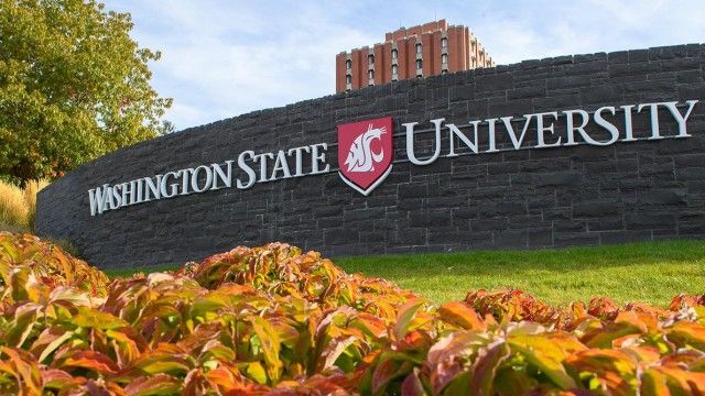 Washington State University Global Campus
