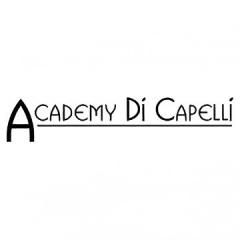 Academy Di Capelli - School of Cosmetology