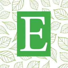 Evergreen Beauty College - Everett