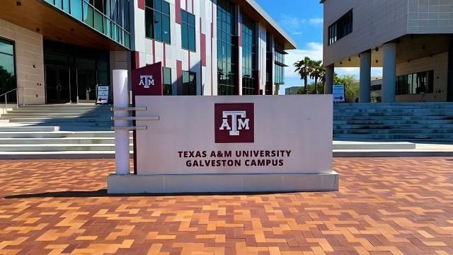 Texas A&M University - Galveston