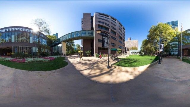 Long Island University
