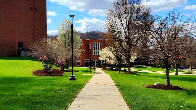 Wheeling University