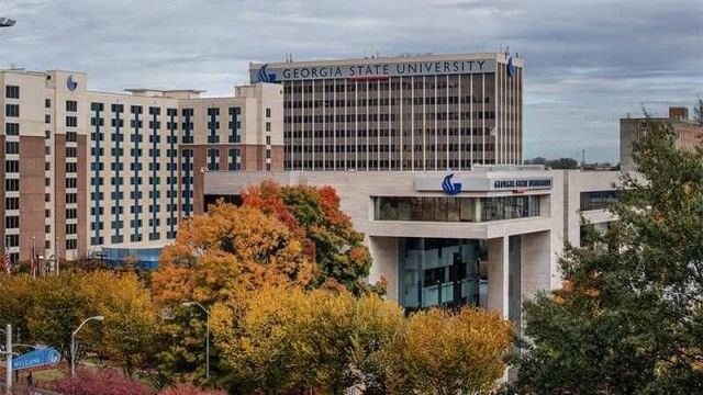 Georgia State University