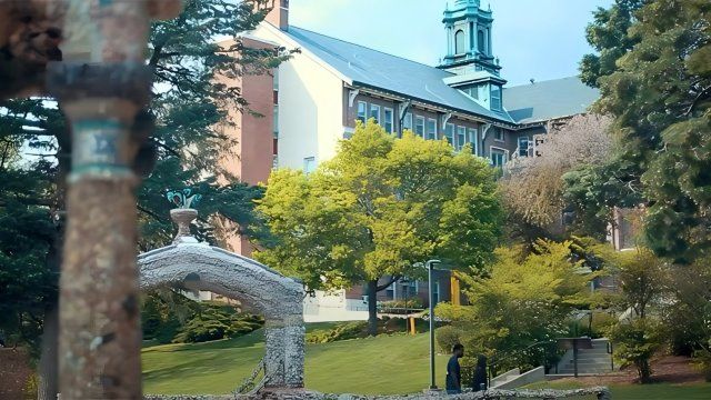 Mount Mercy University