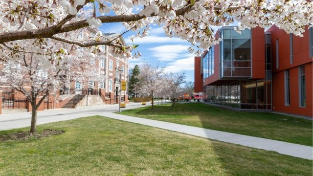 Adelphi University