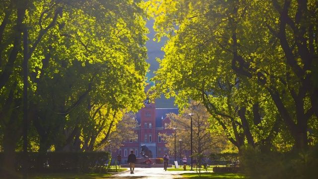 University of Montana