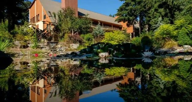 Pacific Lutheran University