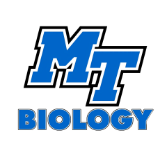 Middle Tennessee State University